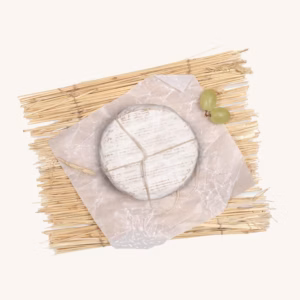 Mas Rovira Blanc de Sora artisan soft goat´s cheese, mini wheel 300 gr